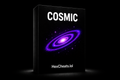Cosmic Lifetime
