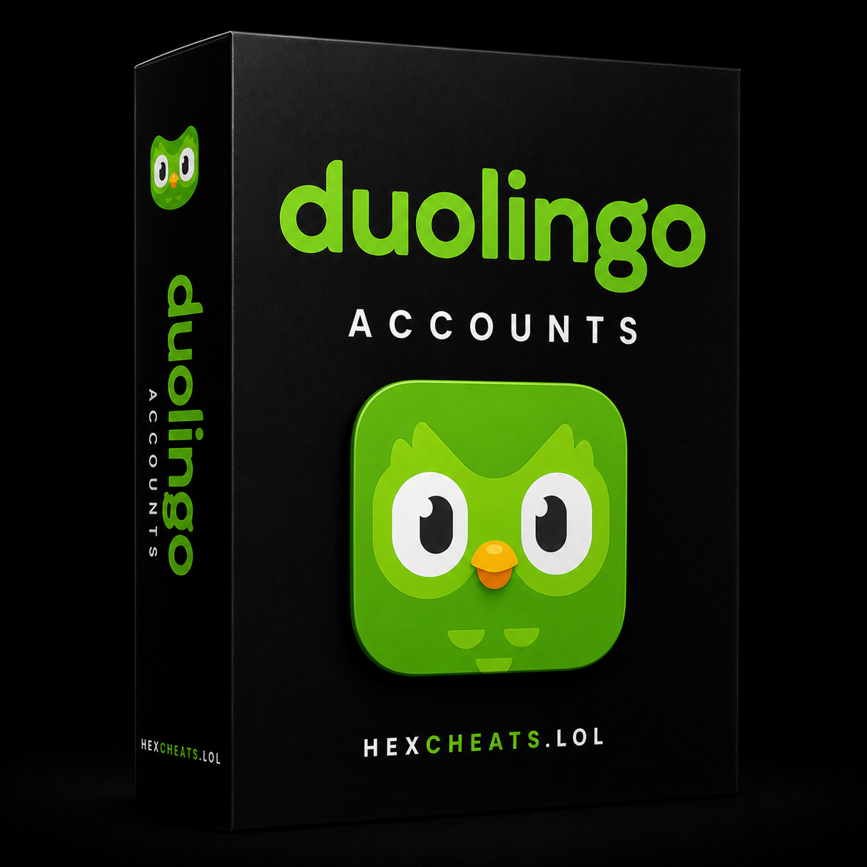 Lifetime Duolingo