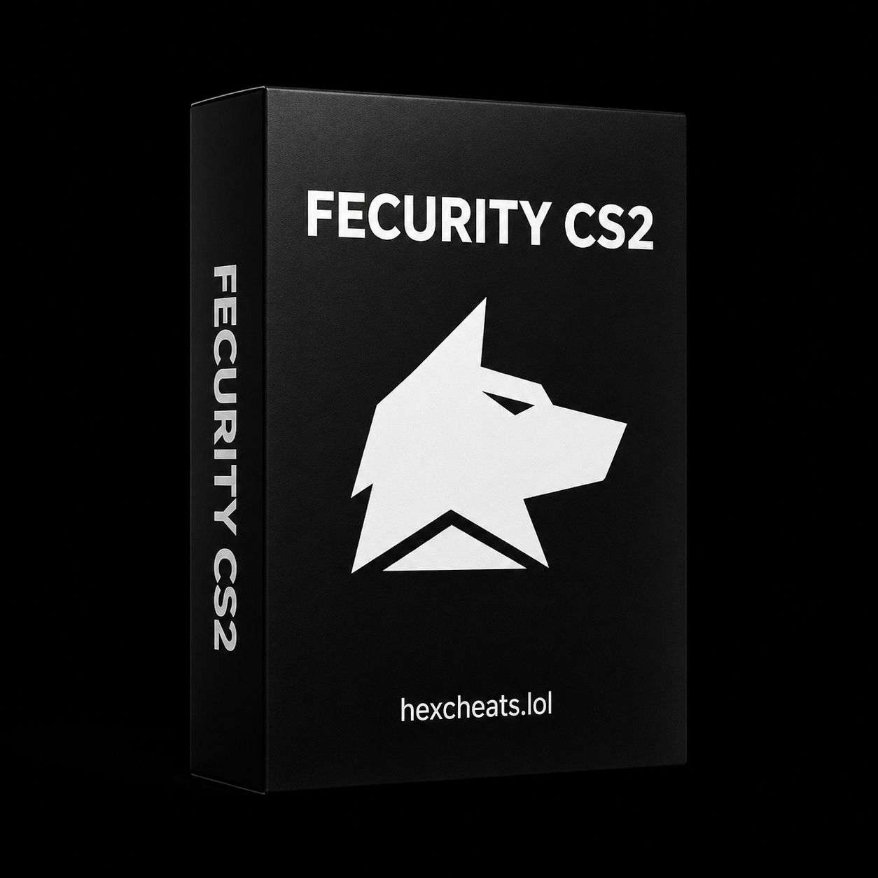 Fecurity CS2